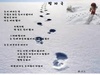 계절시/ 발자국